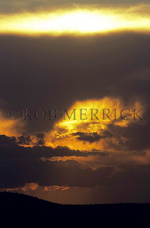 Lewa_005