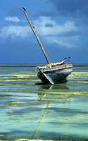 Lamu_015