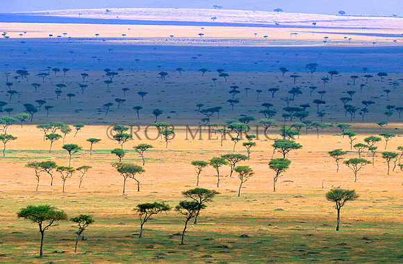 Mara_008