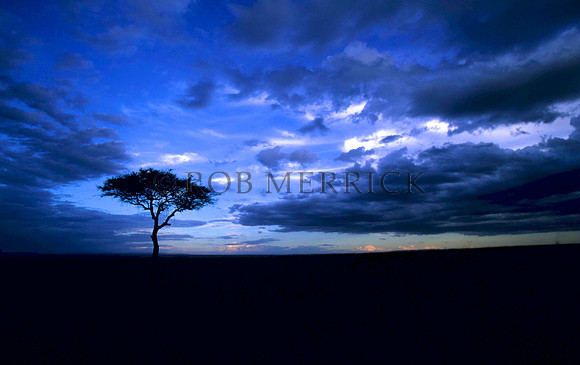 Mara_019