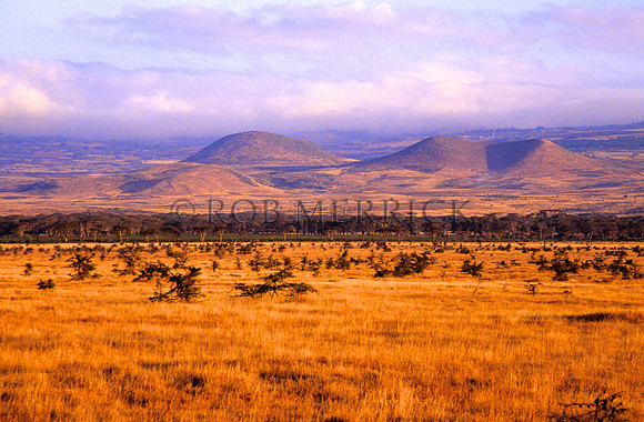 Lewa_014