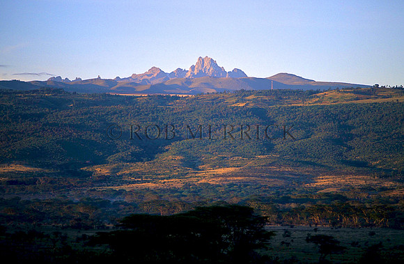 Lewa_002