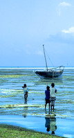 Lamu_012
