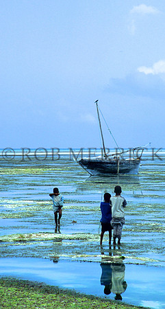 Lamu_012