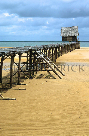 Lamu_018