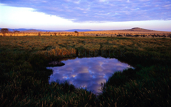 Lewa_015