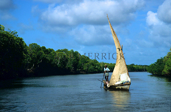 Lamu_017