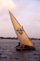 Lamu_003