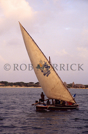 Lamu_003
