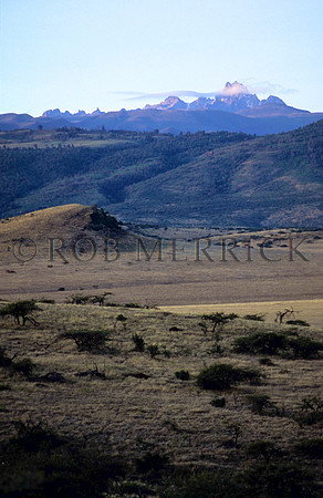 Lewa_003