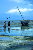 Lamu_014