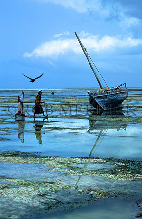 Lamu_014