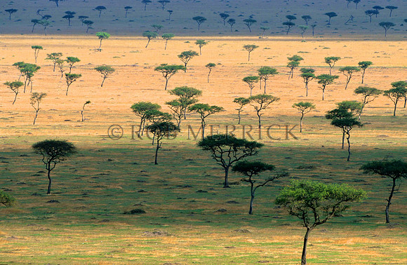 Mara_002