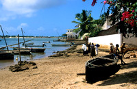 Lamu_006