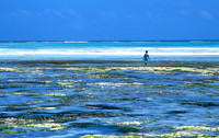 Lamu_008