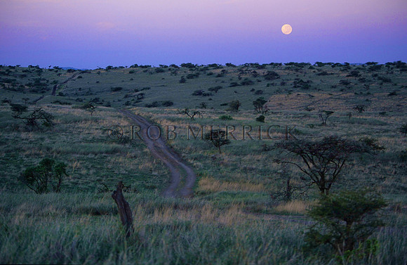 Lewa_007