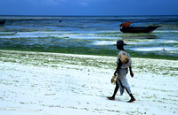Lamu_009
