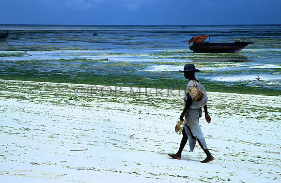 Lamu_009