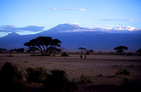 Amboseli_005
