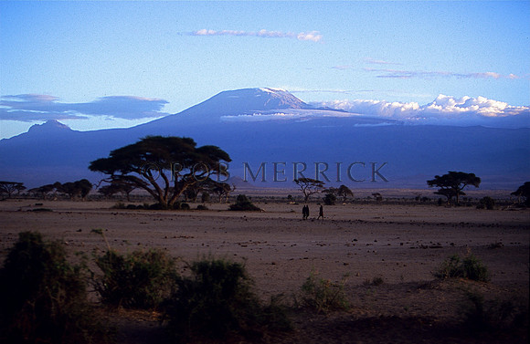 Amboseli_005