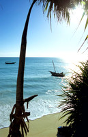 Lamu_010