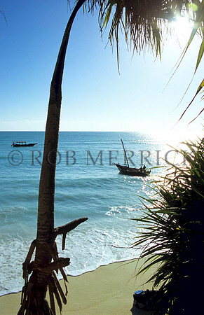 Lamu_010