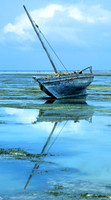 Lamu_013