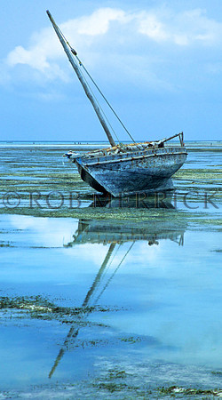 Lamu_013