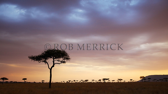 Mara_038